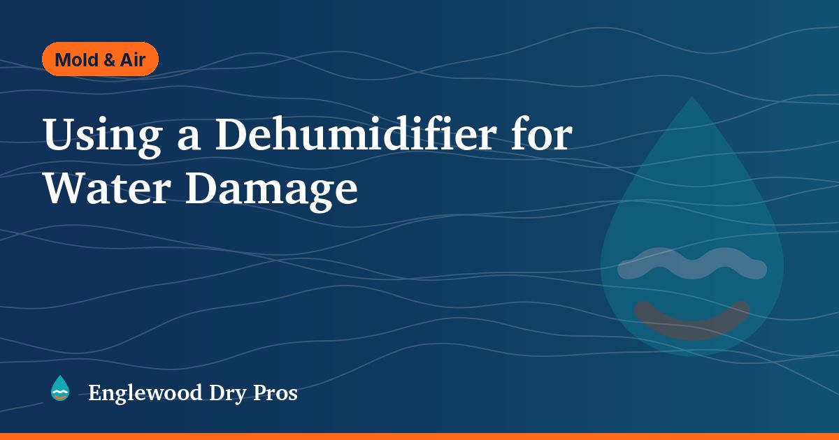 Illustrated guide cover: using a dehumidifier for water damage