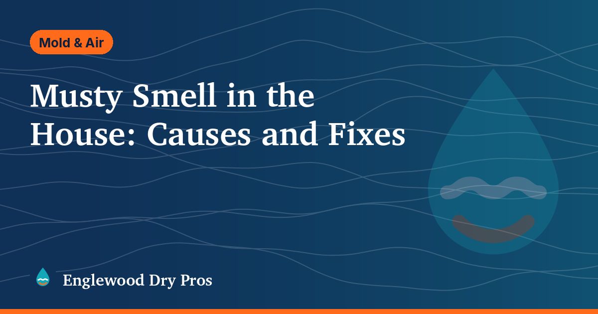 Illustrated guide cover: musty smell in the house, causes and fixes